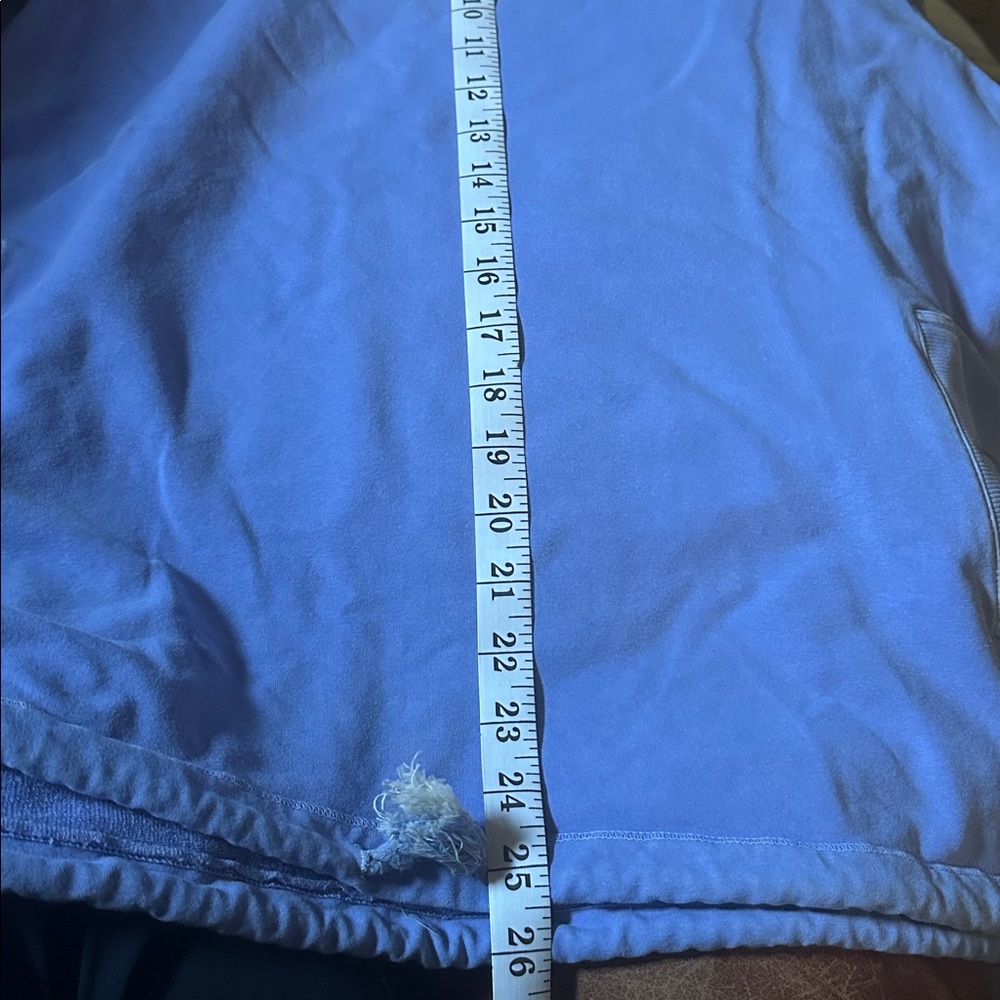 XL/XXL Stretchy Fresh Produce Blue Distressed Sweatshirt. Runs small ! - Picture 15 of 15